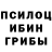 Галлюциногенные грибы MAGIC MUSHROOMS papam1dn1te10