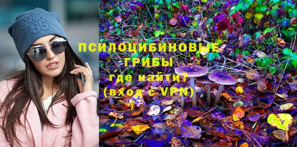 кокаин Алексеевка
