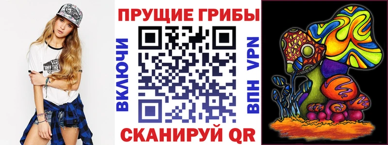 Галлюциногенные грибы GOLDEN TEACHER  хочу наркоту  Димитровград 